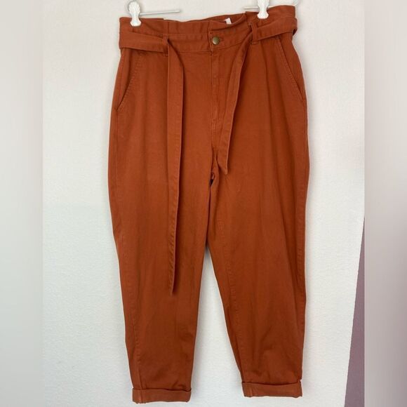 Banana Republic Barrel pants w/ tie in pumpkin spice - Picture 2 of 11
